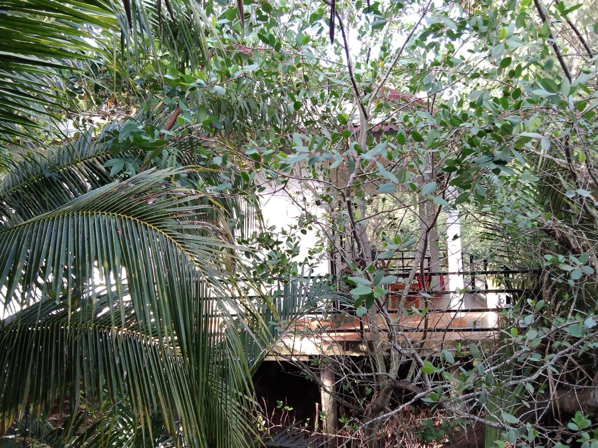Quoc Phuong Riverside Homestay Ben Tre Exterior photo